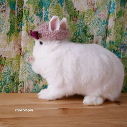 うさぎさん用リボンベレー帽 ペリウィンクル【受注製作】 ペット服