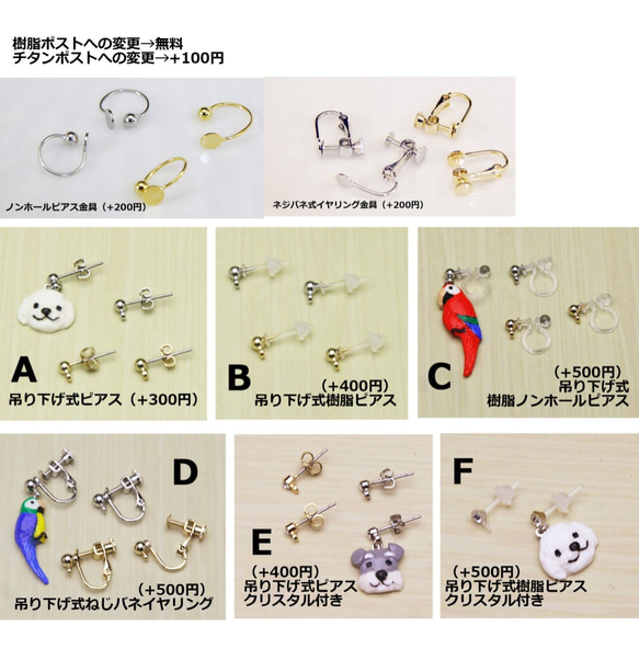 ミニチュアキバタンのピアス【イヤリング変更可】 4枚目の画像