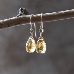14Kgf 寶石級白蘭地黃水晶 AAA 耳環/耳環--小橡子-- 第6張的照片
