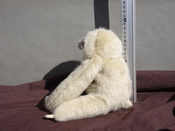ちょっと大きい三色ナマケモノ＊モフモフ(1ヶ月以内発送) 10枚目の画像