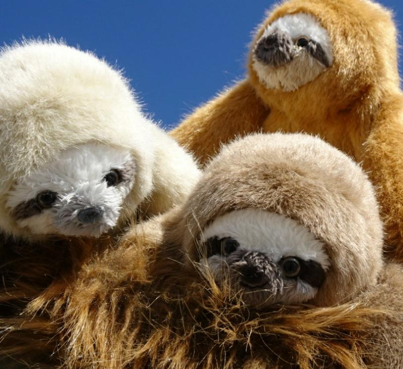 ちょっと大きい三色ナマケモノ＊モフモフ(2ヶ月以内発送)