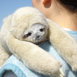 ちょっと大きい三色ナマケモノ＊モフモフ(1ヶ月以内発送) 3枚目の画像