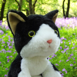 猫(ねこ) ぬいぐるみ のおすすめ人気通販|Creema(クリーマ 猫(ねこ) ぬいぐるみ のおすすめ人気通販|Creema(クリーマ
