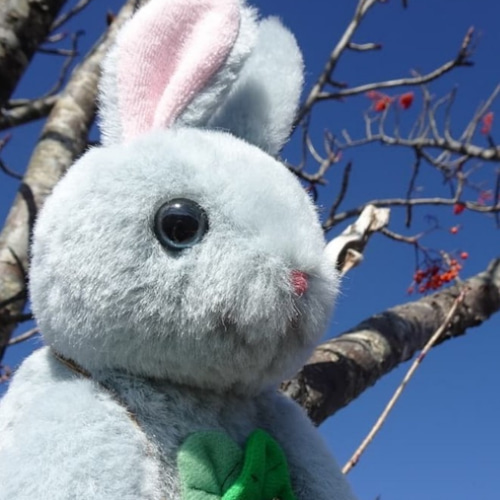 色々うさぎ＊お土産選べます。(1ヶ月以内で発送) ぬいぐるみ