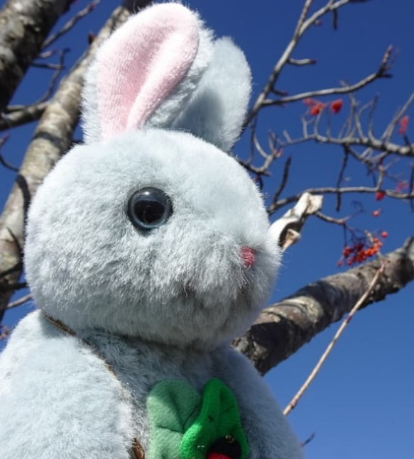 色々うさぎ✽お土産選べます。(2ヶ月以内で発送) 7枚目の画像