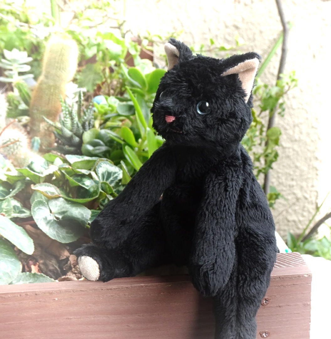筑紫野店】新しい猫ちゃん4頭「くろみつ」「さとすけ