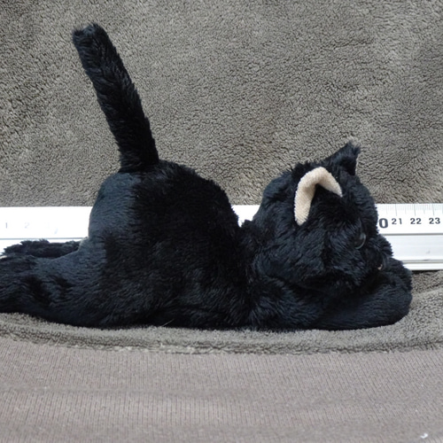青目の黒猫(1ヶ月以内で発送） ぬいぐるみ Stepping-Dogs 通販