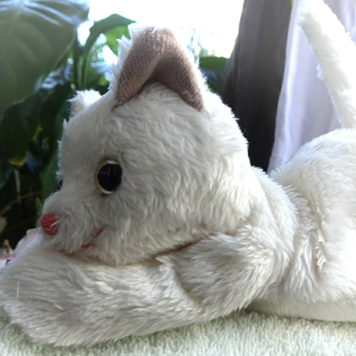 オッドアイ♡真っ白子猫ちゃん♡アートドール♡ぬいぐるみ♡ オッドアイの白猫(1ヶ月以内で発送) ぬいぐるみ Stepping-Dogs