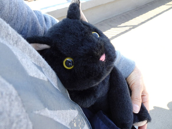 抱っこしたい黒猫(1.5ヶ月以内で発送)＊耳内等の色を選べます＊目の色を選べます 13枚目の画像