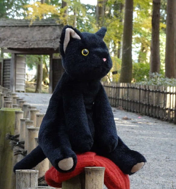 抱っこしたい黒猫(1.5ヶ月以内で発送)＊耳内等の色を選べます＊目の色を選べます 15枚目の画像