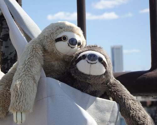 1_d95cf1cc87c7032a5e9ff4eb94b2