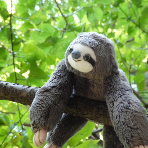 色違いのナマケモノ(2ヶ月以内で発送) ぬいぐるみ Stepping-Dogs 通販