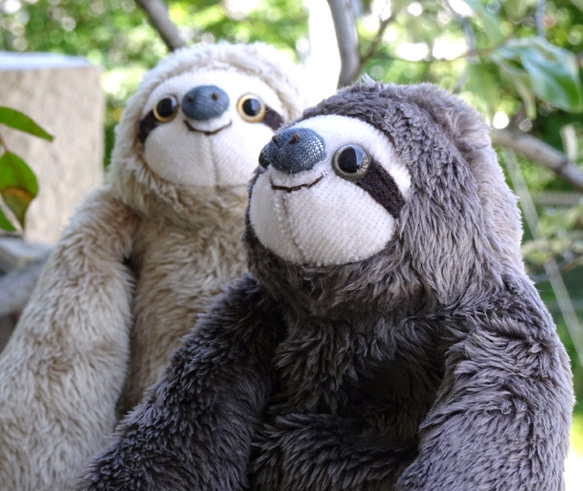 色違いのナマケモノ(1ヶ月以内で発送) 7枚目の画像