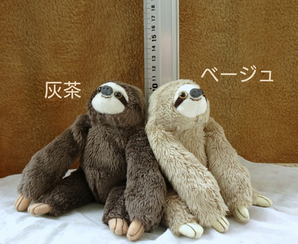 色違いのナマケモノ(1ヶ月以内で発送) 9枚目の画像