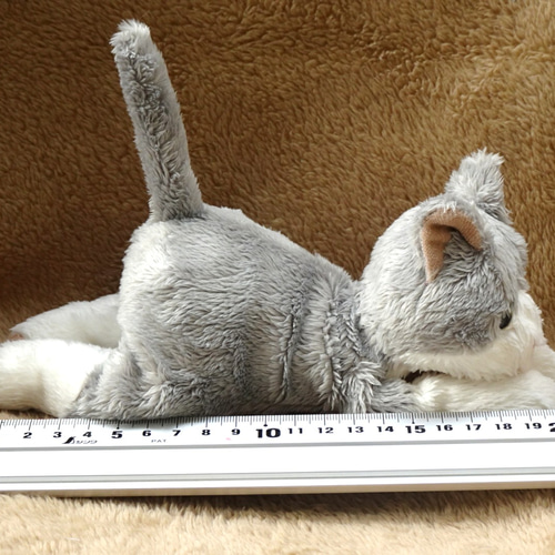 色違いのはちわれ猫(2ヶ月以内で発送) ぬいぐるみ Stepping-Dogs 通販