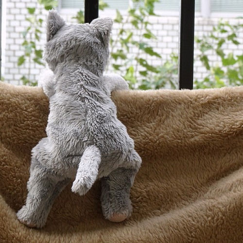 品質一番の 青目の灰色猫(2ヶ月以内で発送) ぬいぐるみ Stepping-Dogs 通販 ポケモンカードゲーム