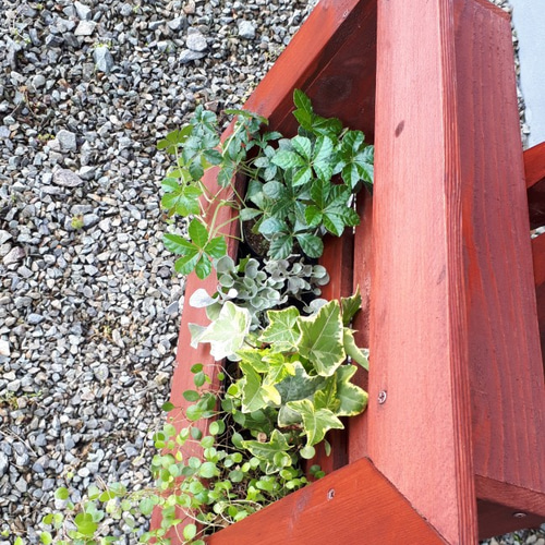 額縁プランター三脚付き 一輪挿し・花瓶・花器 mokokobo 通販