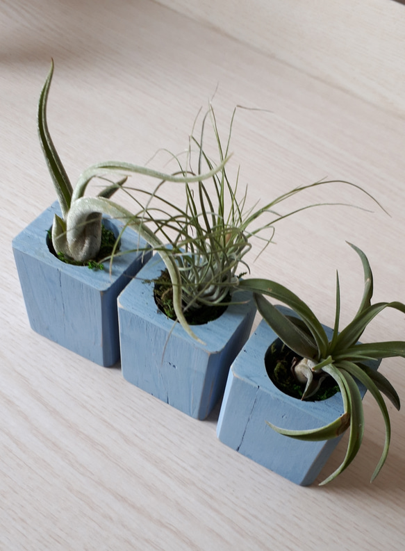 square planter 3個セット 一輪挿し・花瓶・花器 mokokobo 通販