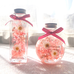 ハーバリウム  桜色の2本セット☆敬老の日のプレゼントお誕生日祝い、桜色 ブリザードフラワー、仏花、お盆、お供え 3枚目の画像