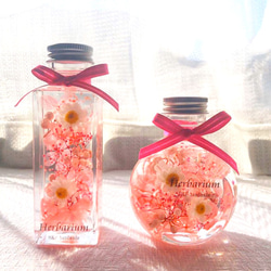 ハーバリウム  桜色の2本セット☆敬老の日のプレゼントお誕生日祝い、桜色 ブリザードフラワー、仏花、お盆、お供え 4枚目の画像