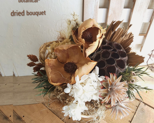 ② 高さ約90㎝現品ご発送します。オオギバショウのドライフラワー ③ 高さ約90㎝現品ご発送します。オオギバショウのドライフラワー -