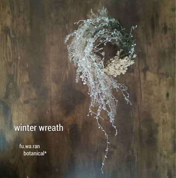 12セット【ディコンドラシルバーフォール】ドライフラワー＊スワッグ＊リース＊ 12セット【ディコンドラシルバーフォール】ドライフラワー