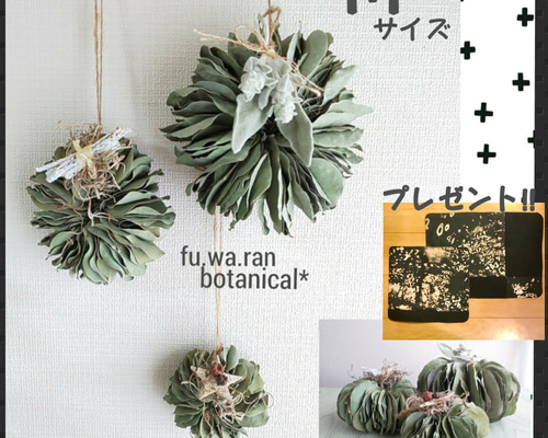 ♣️2ヶ以上購入でプレゼント!!♣️Mサイズ* ユーカリポポラスの