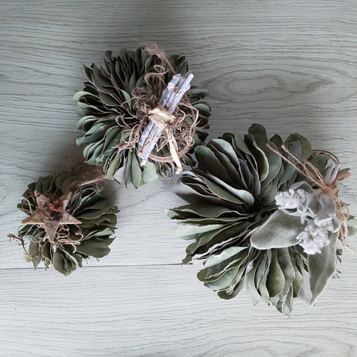 ♣️2ヶ以上購入でプレゼント!!♣️Mサイズ* ユーカリポポラスの