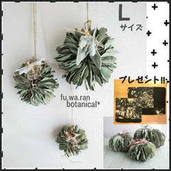 No.069d♡淡い色のハーフリース♡ポポラスのミルフィーユガーランド付き♡ 1_9b8e960c7e6067fc1025dbd481ee