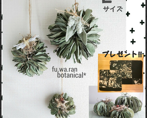 ドライフラワー　ポポラス　ミルフィーユリース　クリスマス　プレゼント　インテリア ♣️2ヶ以上購入でプレゼント!!♣️Lサイズ* ユーカリポポラスの