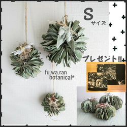 ♣️2ヶ以上購入でプレゼント!!♣️Sサイズ* ユーカリポポラスの