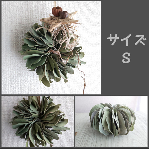 ♣️2ヶ以上購入でプレゼント!!♣️Sサイズ* ユーカリポポラスの