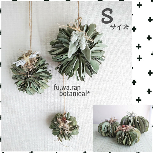 ♣️2ヶ以上購入でプレゼント!!♣️Sサイズ* ユーカリポポラスの