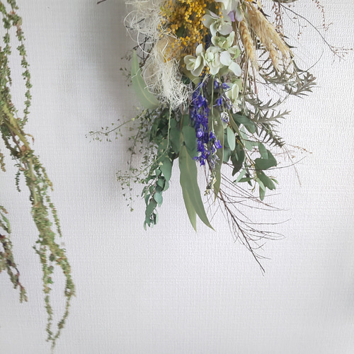 デルフィニウム&ミモザ ドライフラワースワッグ ドライフラワー fu.wa