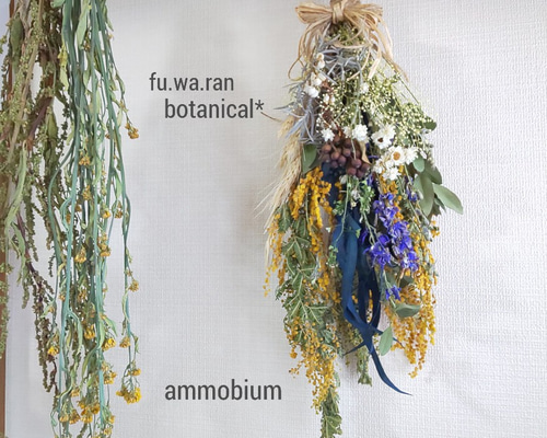 ミモザ&デルフィニウム ドライフラワースワッグ ドライフラワー fu.wa