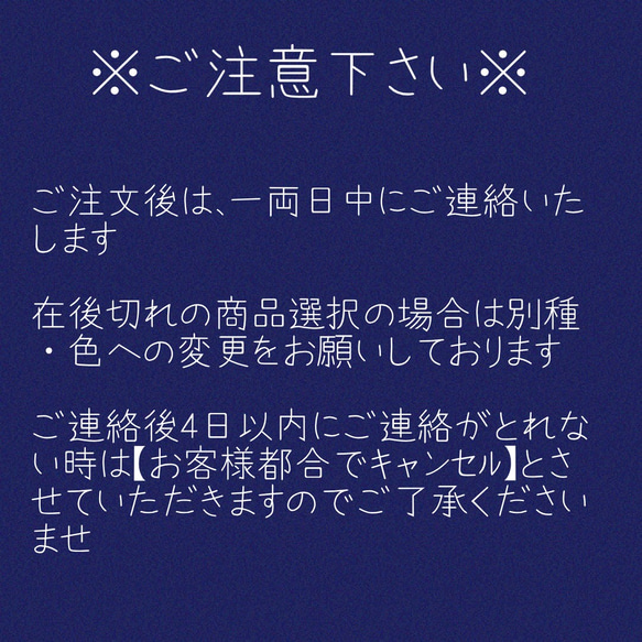 フィルターポケット付き布マスク　単色 10枚目の画像