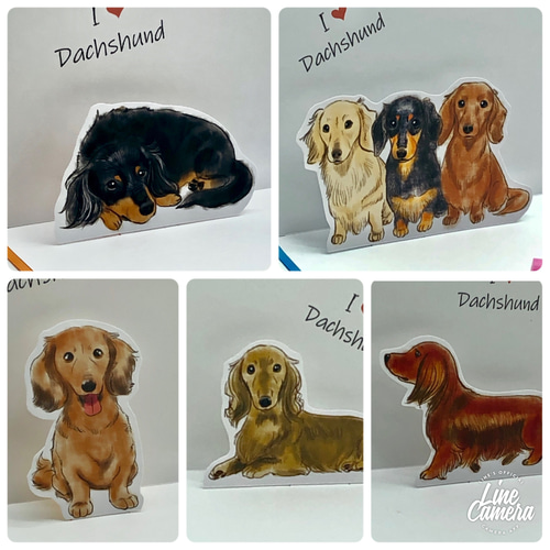 ダックスのポップアップカード・メッセージカード5点セット 封筒