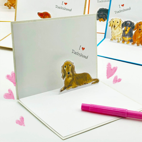 ダックスのポップアップカード・メッセージカード5点セット 封筒