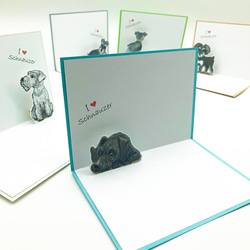 ミニチュアシュナウザーのポップアップカード・メッセージカード 5点セット 封筒・シール付き 3枚目の画像