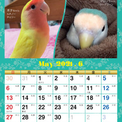 2021年 コザクラづくし卓上カレンダー（コザクラインコ） 8枚目の画像