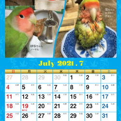 2021年 コザクラづくし卓上カレンダー（コザクラインコ） 9枚目の画像