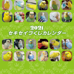 2021年 セキセイづくし卓上カレンダー（セキセイインコ） 1枚目の画像