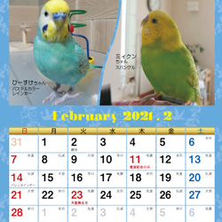 2021年 セキセイづくし卓上カレンダー（セキセイインコ） 4枚目の画像