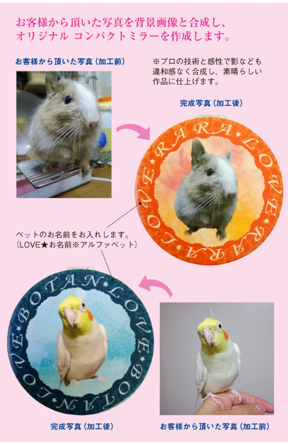 うちの子　鳥　犬　猫　うさぎ「New オーダーメイド コンパクトミラー 手鏡（両面印刷）」 2枚目の画像