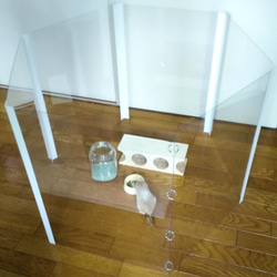 八齒鼠、龍貓透明圓（高度：約91cm）房間圍欄 第6張的照片
