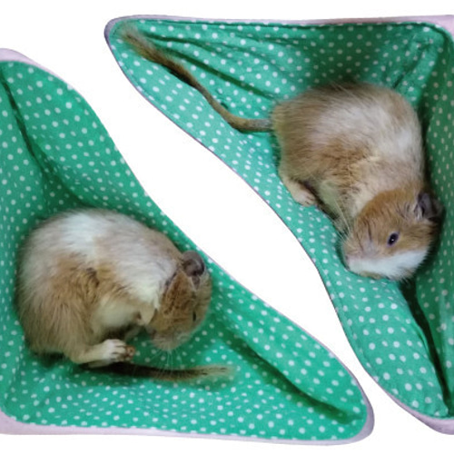 デグー コーナーハンモックベッド 寝床（デグー・シマリス・モモンガ用