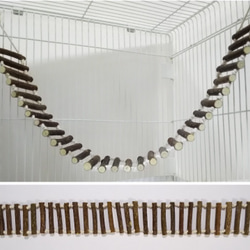 鳥用 天然木 おもちゃ（吊り橋）LLサイズ はしご ハシゴ 梯子 木材 小鳥 玩具 安全 2枚目の画像