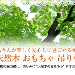 鳥用 天然木 おもちゃ（吊り橋）LLサイズ はしご ハシゴ 梯子 木材 小鳥 玩具 安全 3枚目の画像