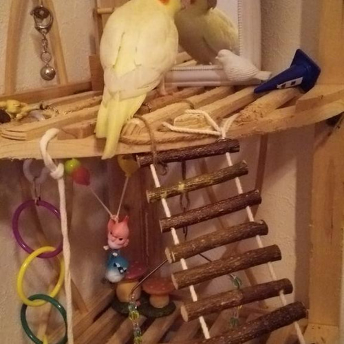 鳥用 天然木 おもちゃ（吊り橋）LLサイズ はしご ハシゴ 梯子