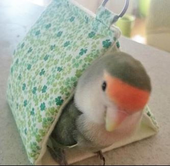 ウロコインコなど、中型インコ用（秋冬用）Lサイズ もふもふバード